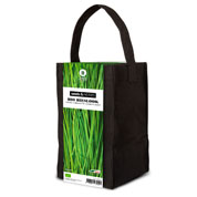 Kit de Cultura Ervas Aromticas - Cebolinho